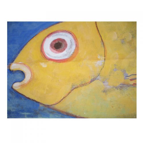 bssa deco pesce