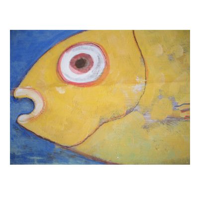 bssa deco pesce